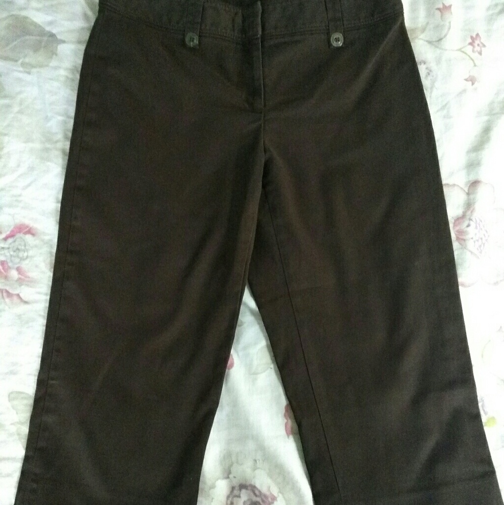 Apt. 9 "Maxwell" Crop Pants, Size 8, Chocolate